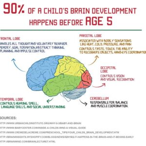 herbal-cure child brain growth